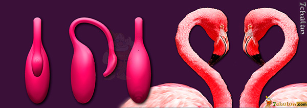 trung-rung-magic-motion-flamingo-dieu-khien-tu-xa